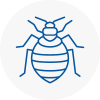 Bed Bug Extermination In Bitton