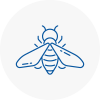 Bee Nest Removal Bitton