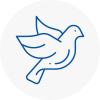 Bird Prevention Bitton