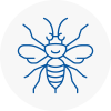 Bitton Hornet Nest Removals