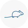Mice Exterminators In Bitton