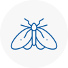 Moth Control Specialists In Bitton