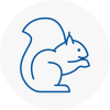Bitton Rodent Removals