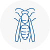Bitton Wasp Nest Removal